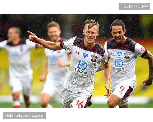 南安普顿中场调整升级，新战略助力球队迎战新赛季