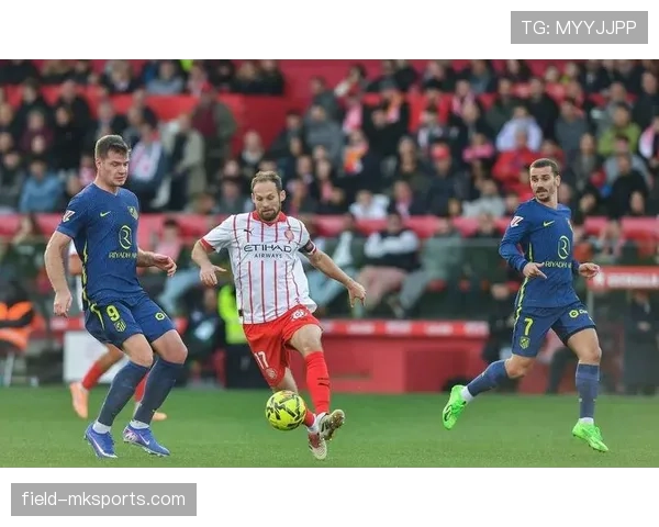 塔利亚菲科进攻端表现出色 助力球队取得关键胜利