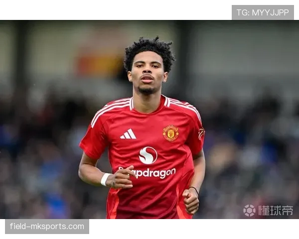 安德莱赫特赛季预测